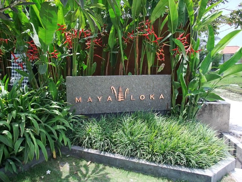 Mayaloka *