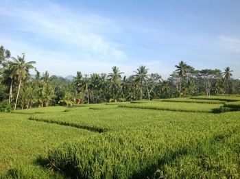 Villa Anusara Luxury (adults Only) Ubud (Bali)