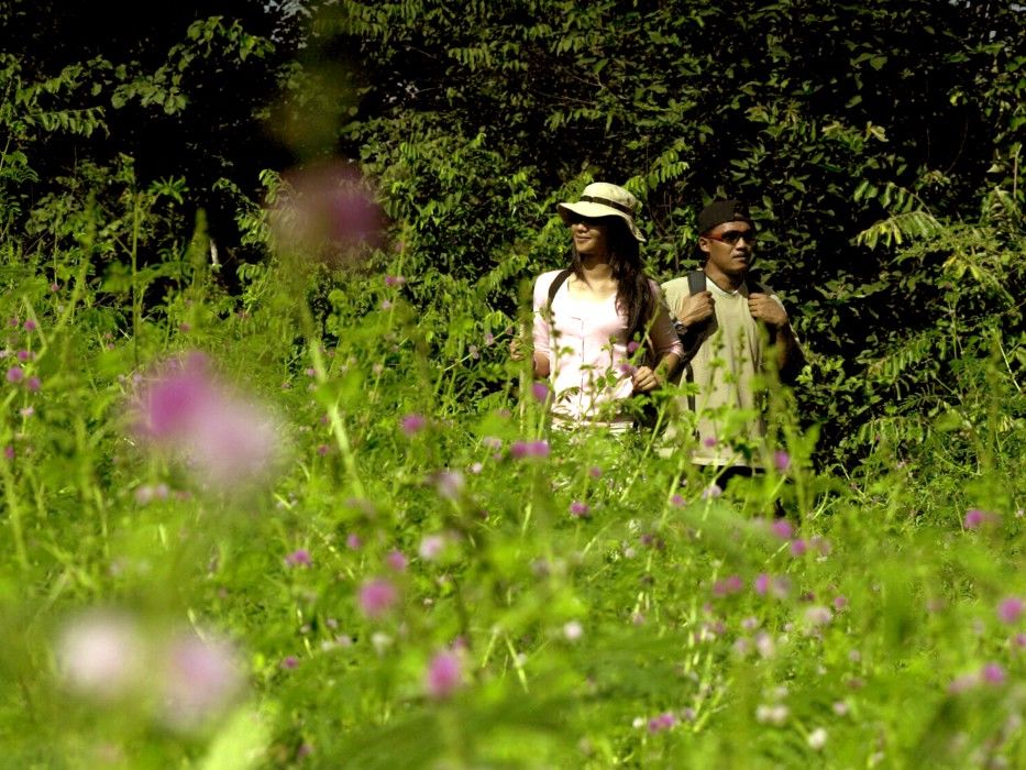 Resort The Menjangan By Lifestyleretreats 4*