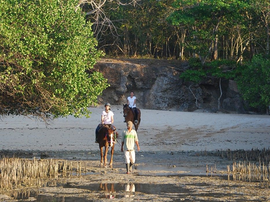 The Menjangan By Lifestyleretreats Resort 4*