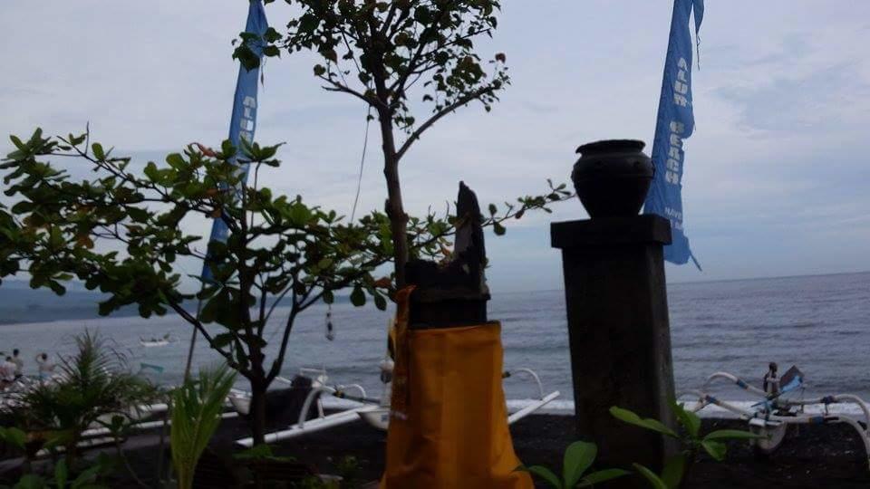 Alur Homestay Amed (Bali)
