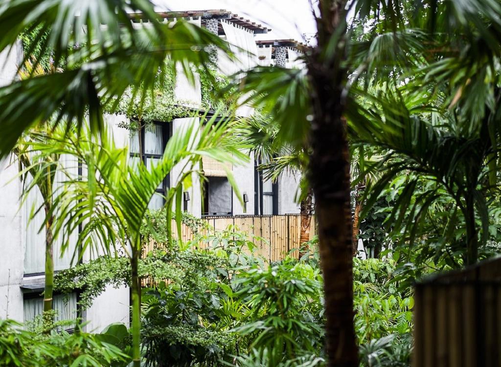 Hotel Bisma Eight - Chse Certified Ubud (Bali)