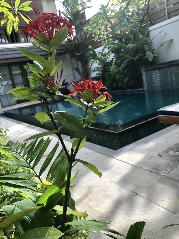Mudha 3 2* Sanur (Bali)
