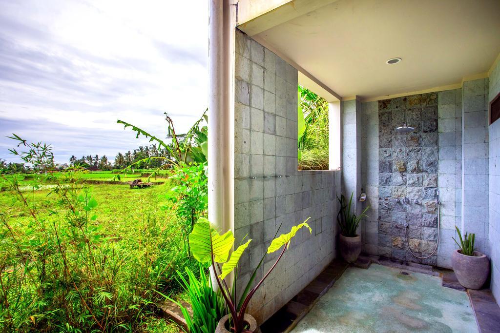 Viola * Ubud (Bali)