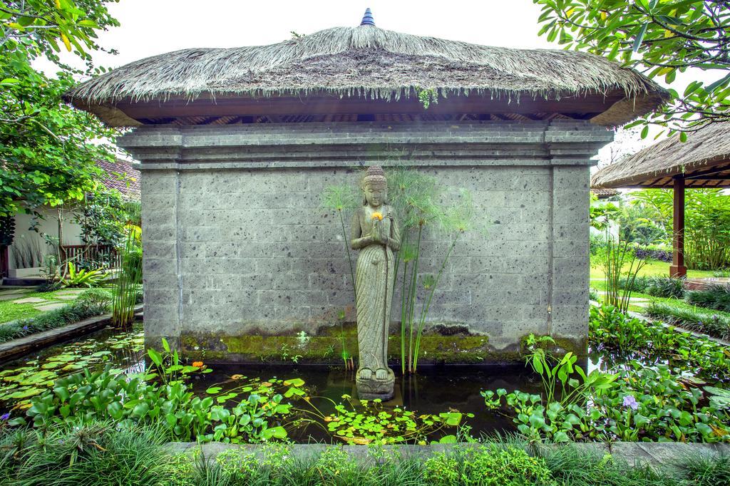 Viola * Ubud (Bali)