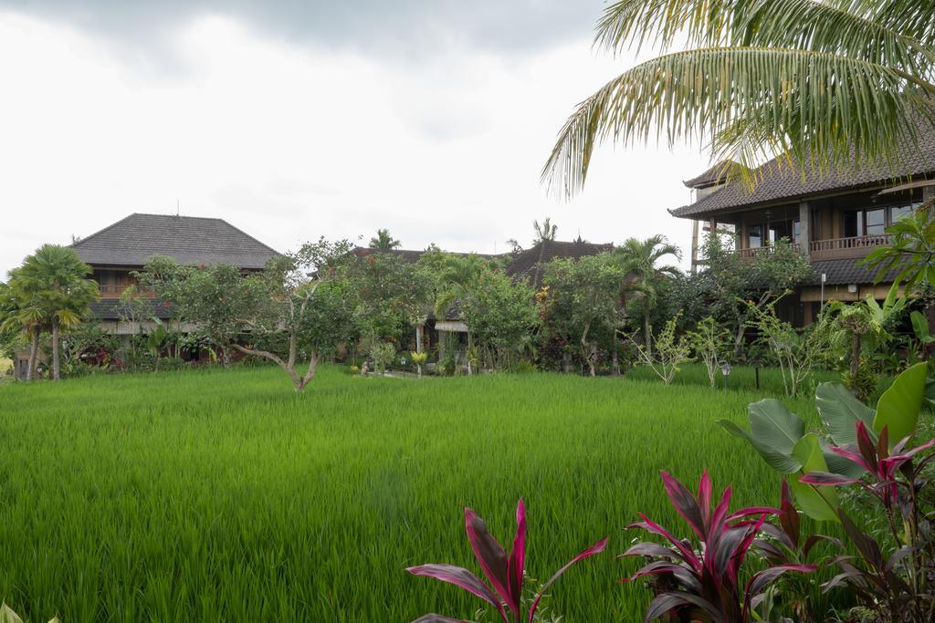 Bliss Hotel