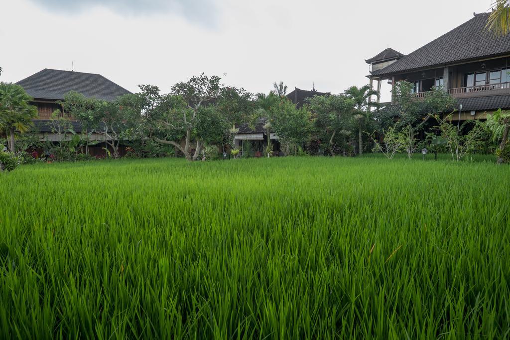 Bliss 4* Ubud (Bali)