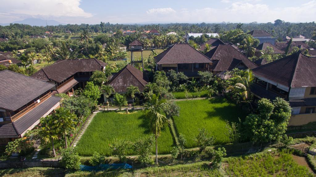 Hotel Bliss Ubud (Bali)