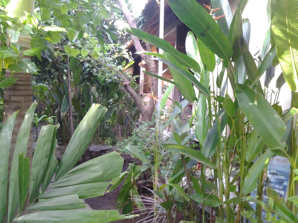 Solaluna Amed (Bali)