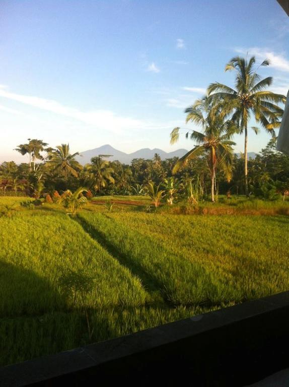 Kemuning Tegallalang (Bali)