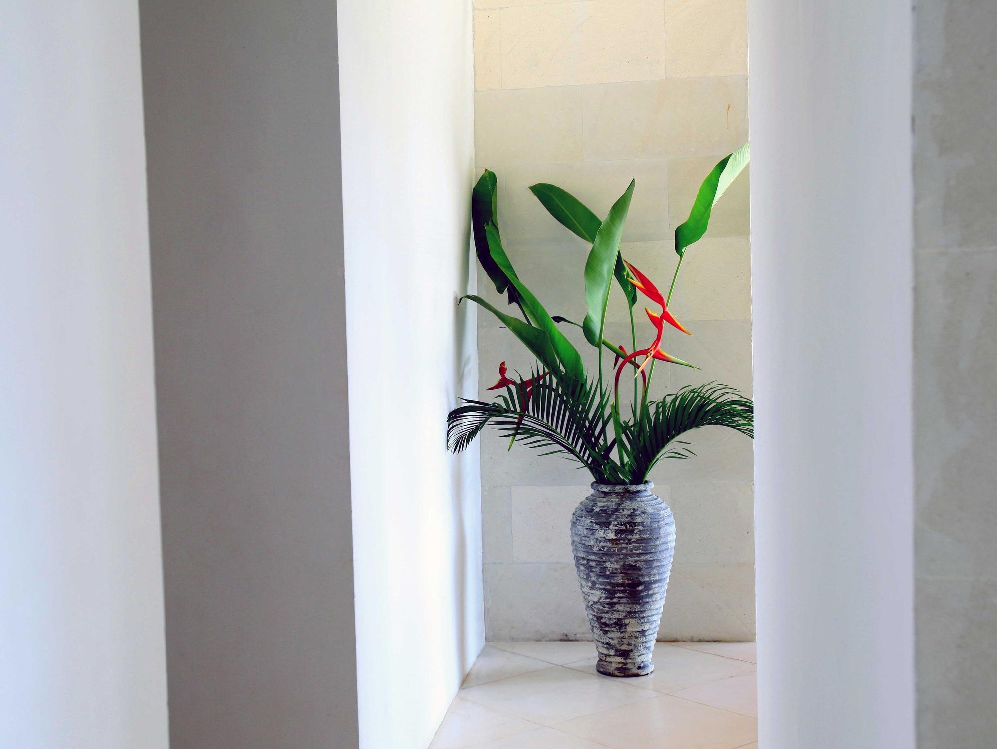 Villa Jeda Modern Stylish Luxury