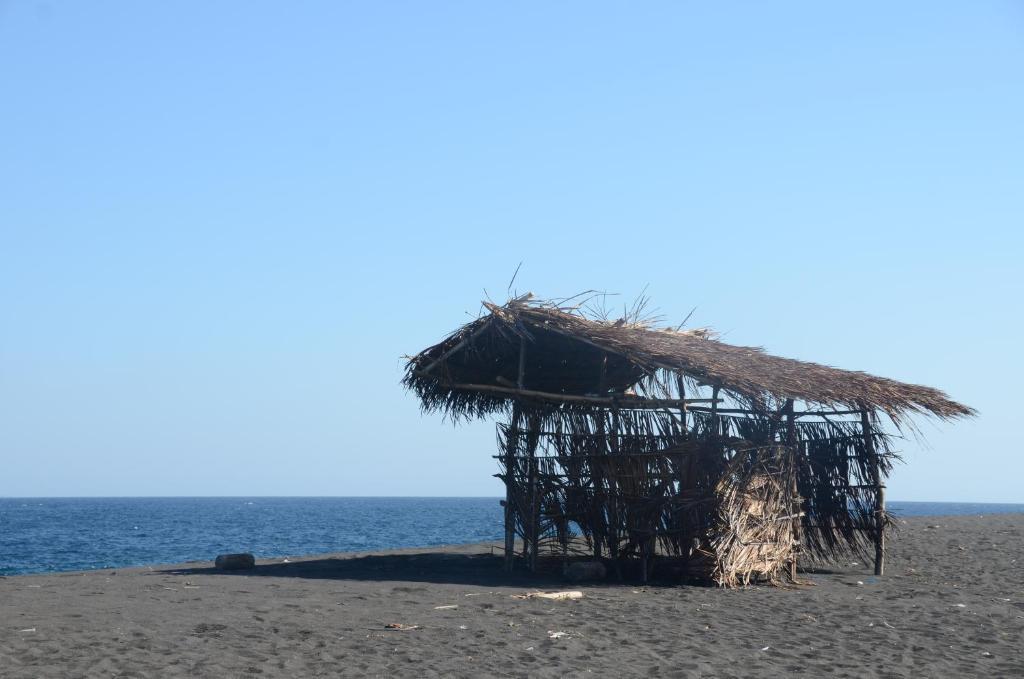 Beachfront Black Pearl *