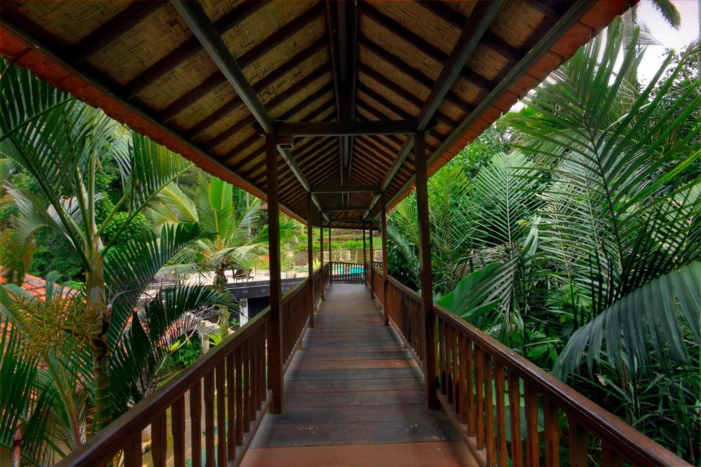 Cempaka Belimbing Blimbing (Bali)