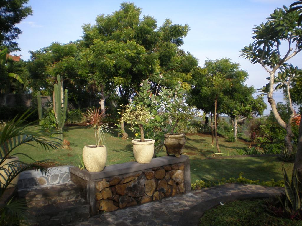 The Raja Singha Boutique Bali * Lovina (Bali)