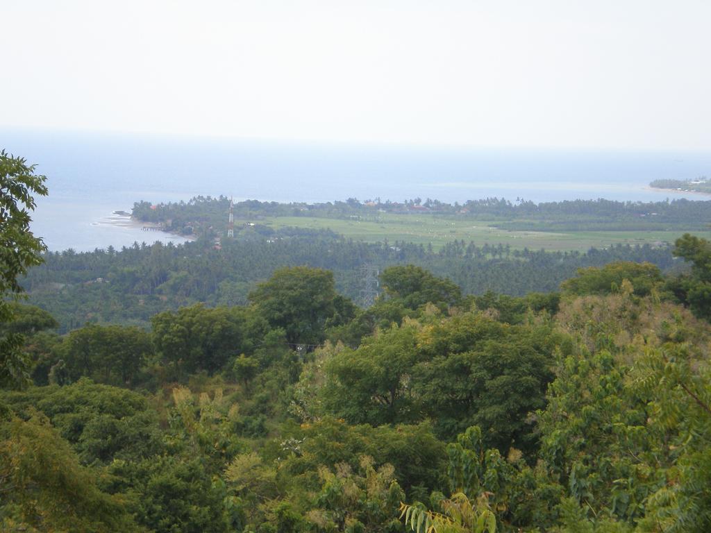 The Raja Singha Boutique Bali Villa Lovina (Bali)