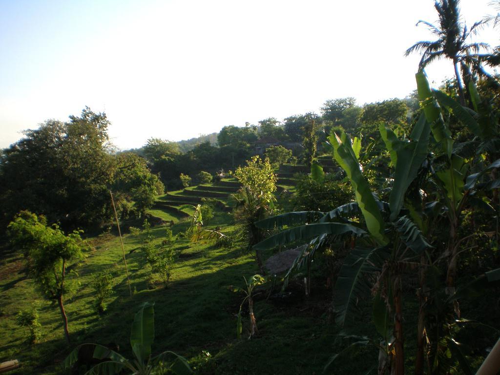 The Raja Singha Boutique Bali Villa *
