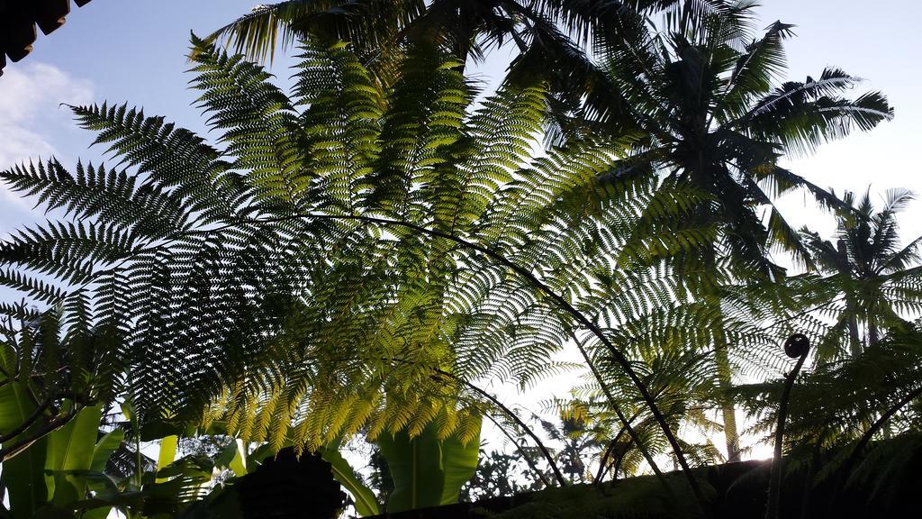 Holiday park Imagine Bali Ubud (Bali)