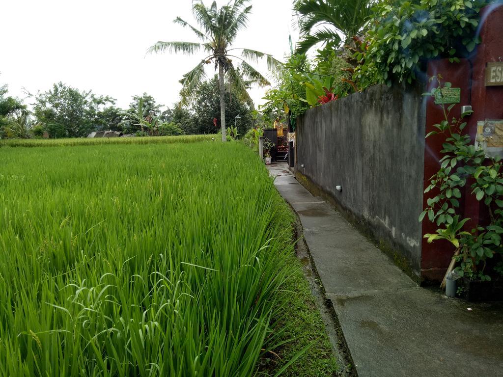 Esa * Ubud (Bali)