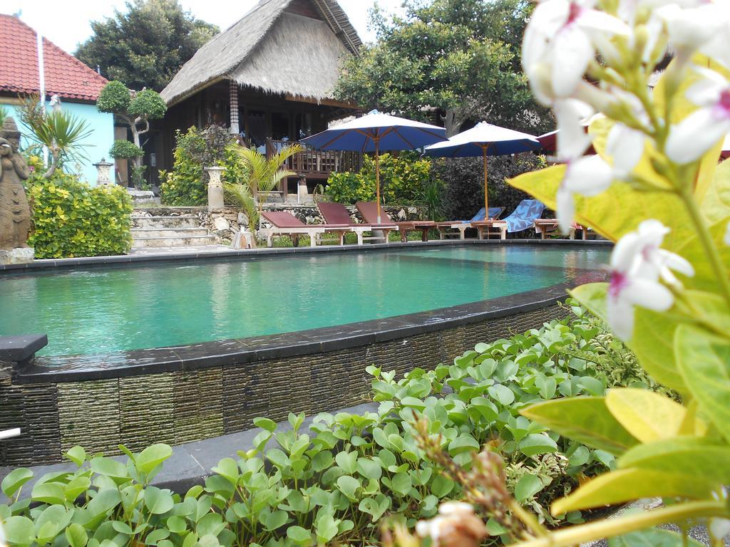 Holiday park The Dafish Ceningan 3*