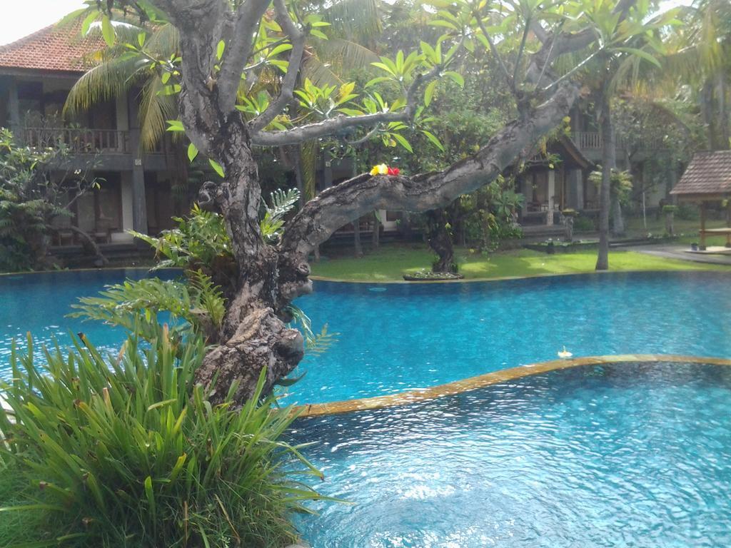 Seaside Resort Lovina (Bali)