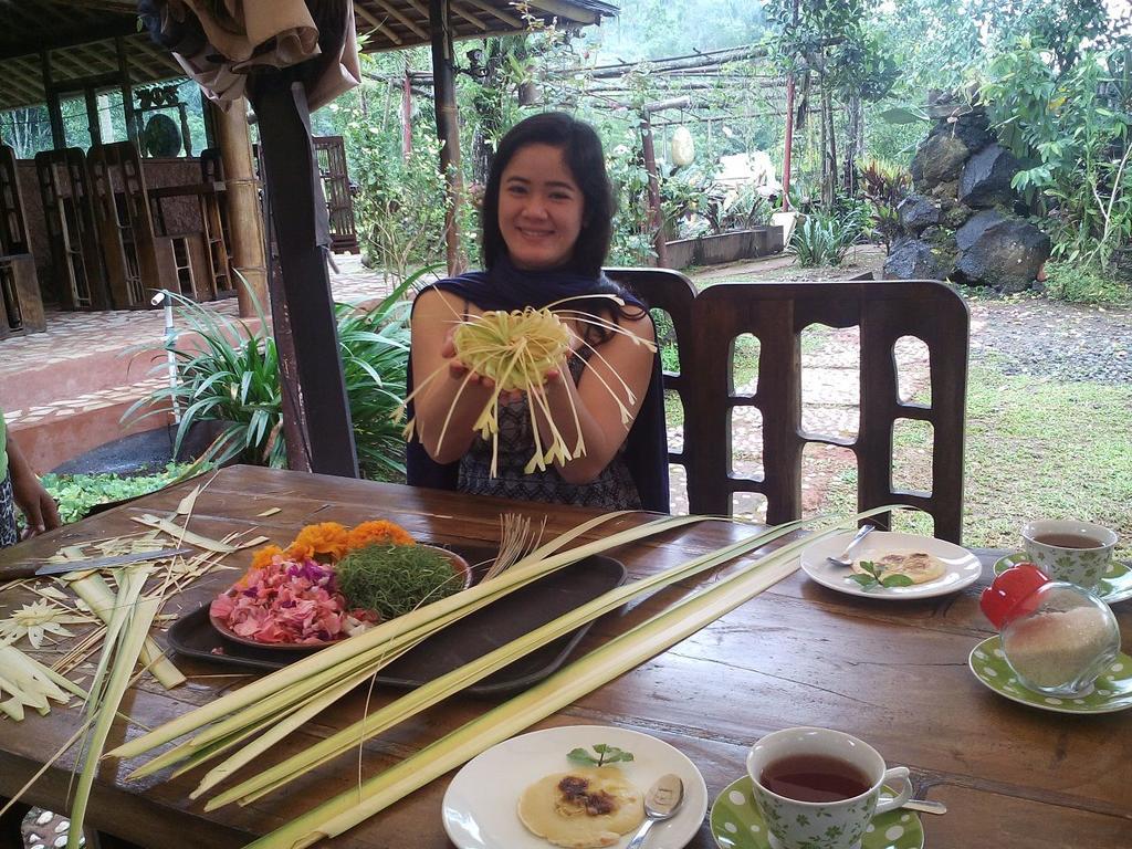 Bali Eco Village Plaga