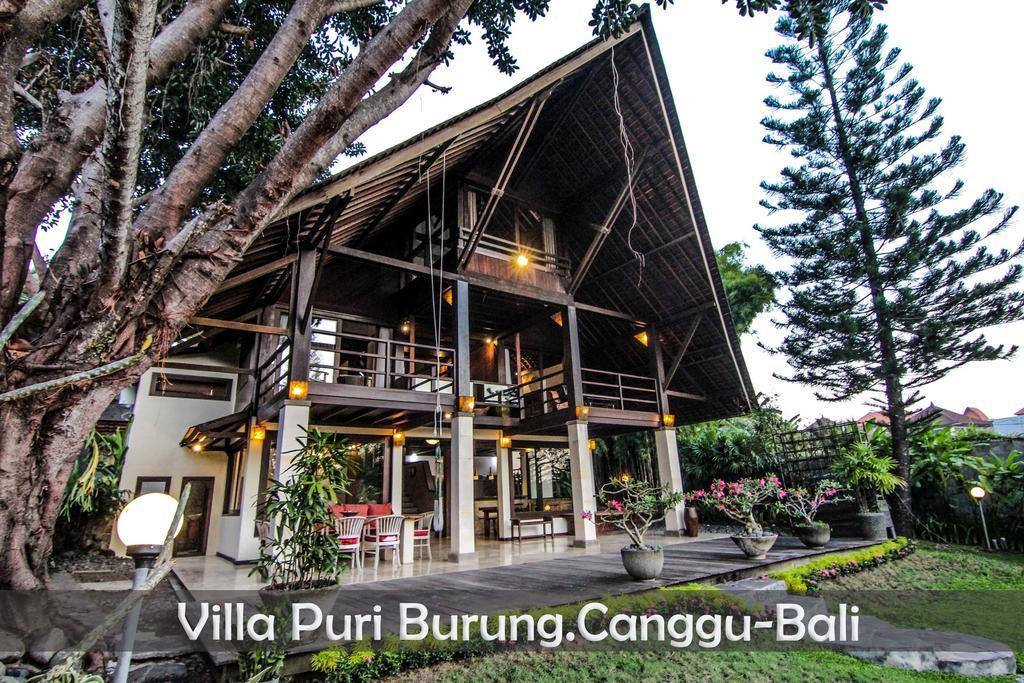 Puri Burung * Canggu (Bali)