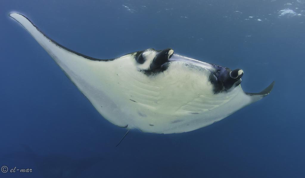Kubu Indah Dive&spa Taman liburan 4*