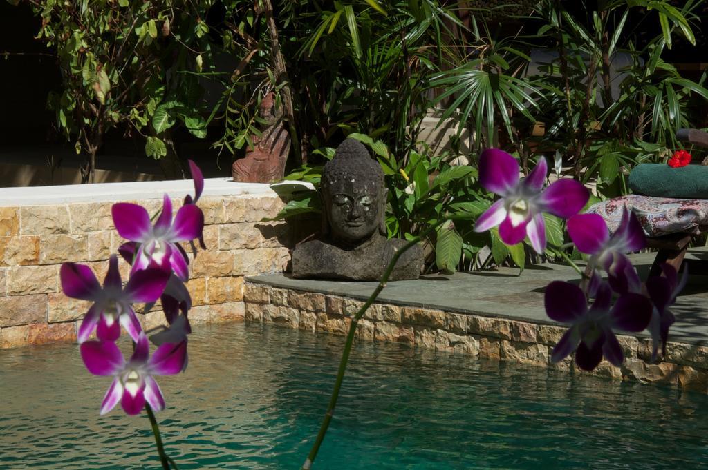 Taman Rahasia Tropical Sanctuary And 3* Ubud (Bali)