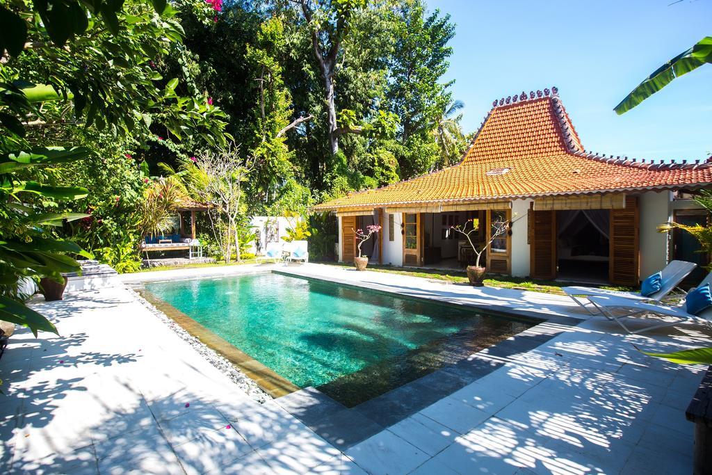 Lata * Lovina (Bali)