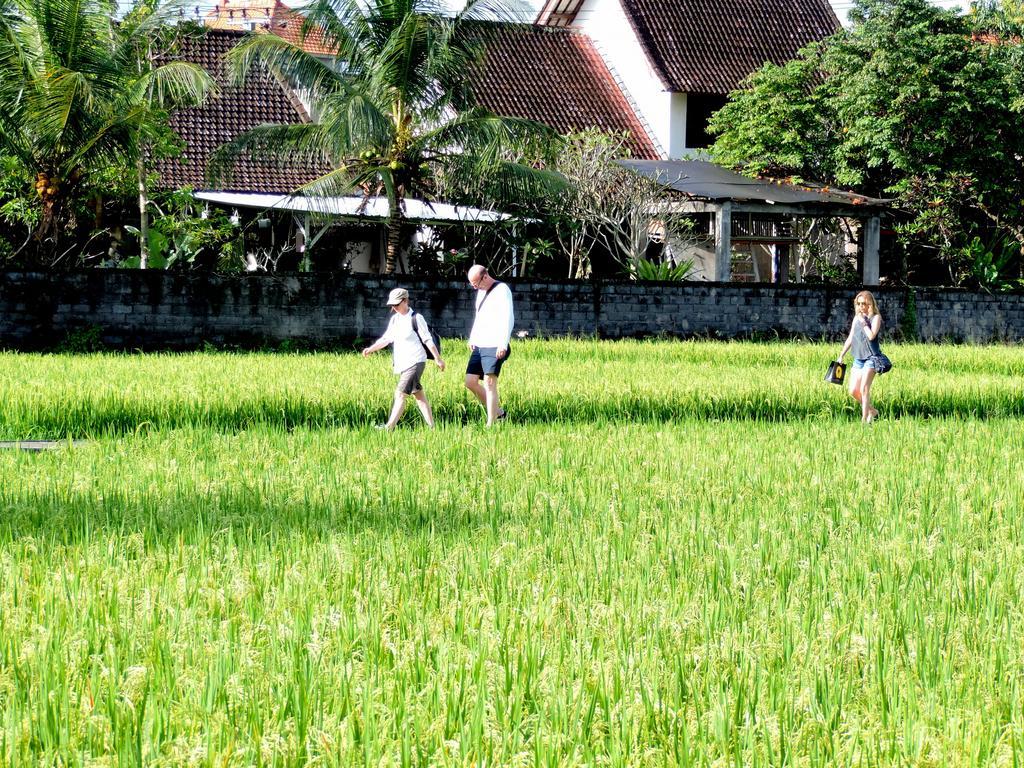 Adi Bisma By Mahaputra-chse Certified 2* Ubud (Bali)