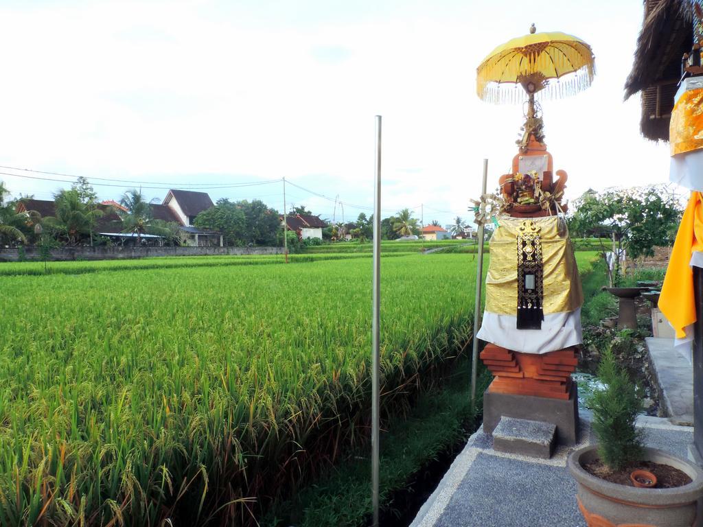 Adi Bisma By Mahaputra-chse Certified
