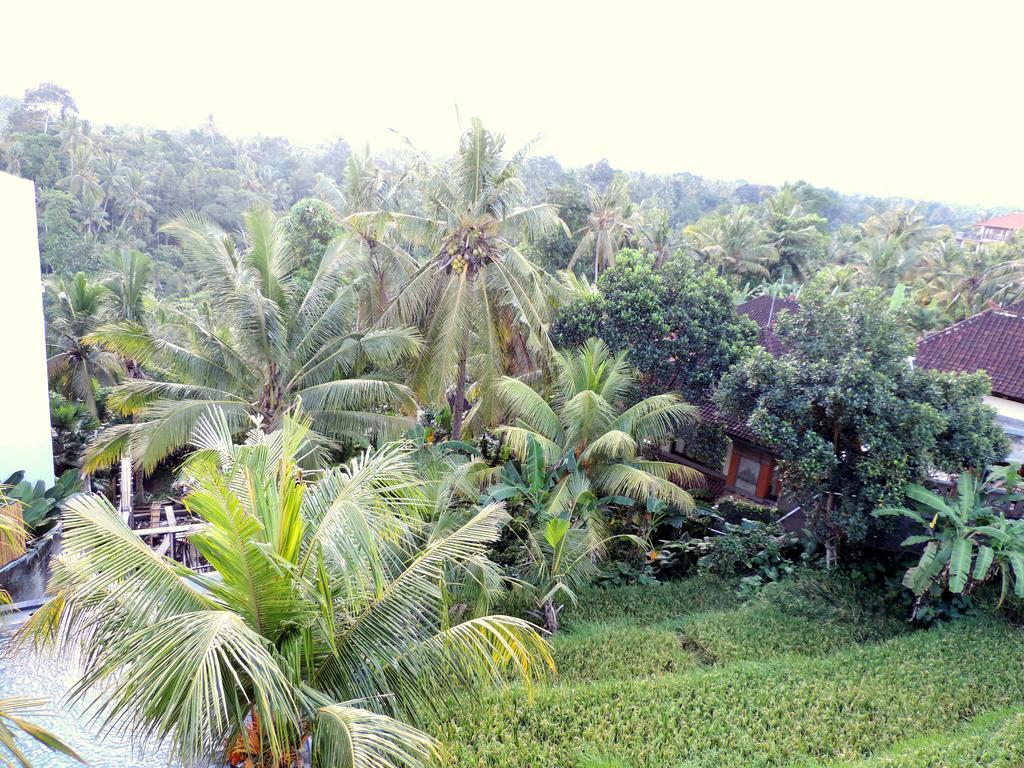 Adi Bisma By Mahaputra-chse Certified 2*