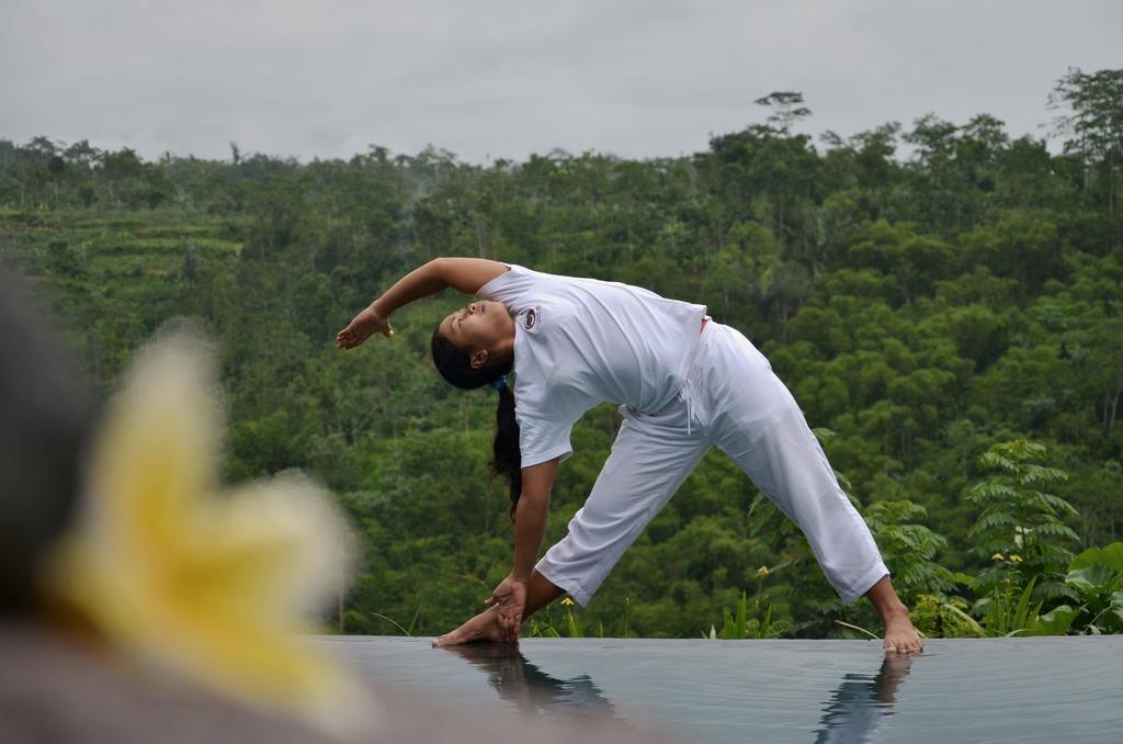 Puri Sebatu Resort 4*