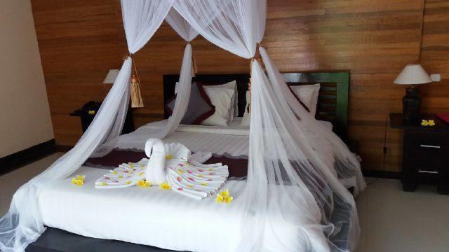 Evita Villa Ubud (Bali)