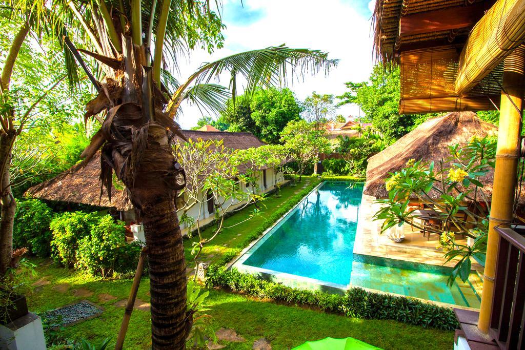 Asrama Blind Dog Sanur (Bali)