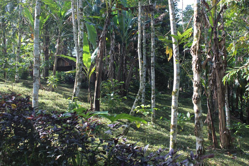 Tegal Jero