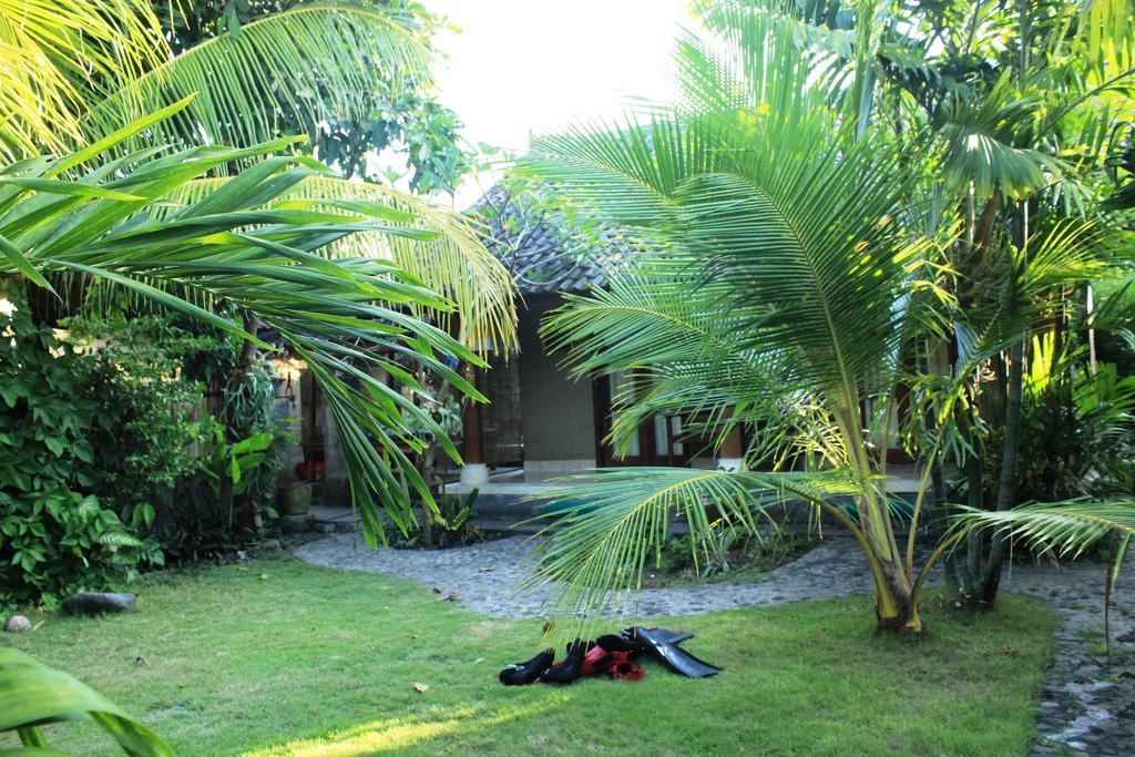 Toke Menjangan Banyuwedang