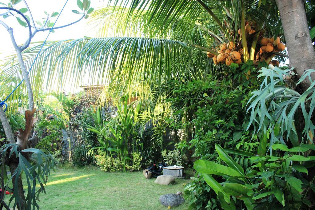 Guest house Toke Menjangan *