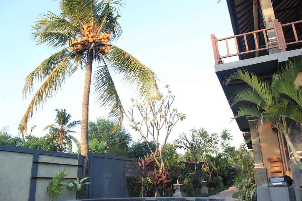 Guest house Menjangan Sari 2*