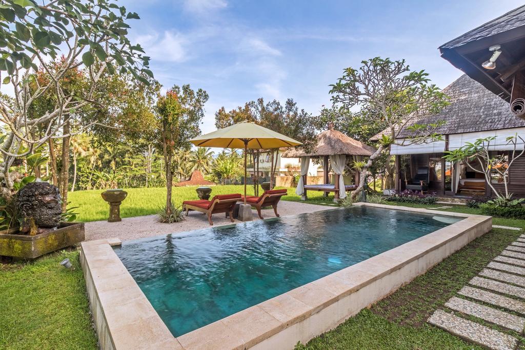 Padi Menari *