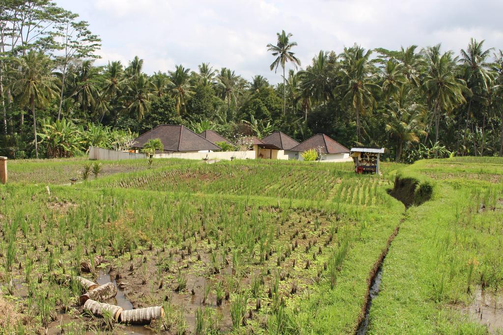 Uma Kama Ubud (Bali)