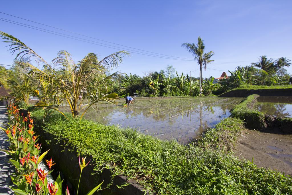 Villa Baruna Sari