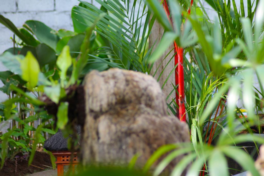Beachouse Homestay *