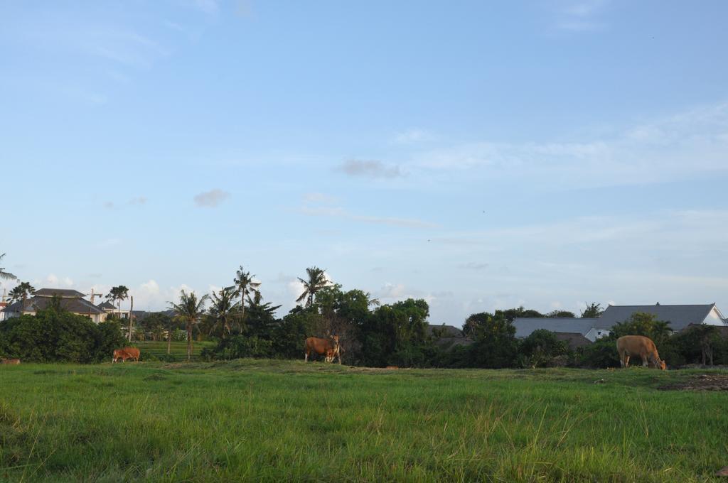 Guest house Kubudiuma Bali