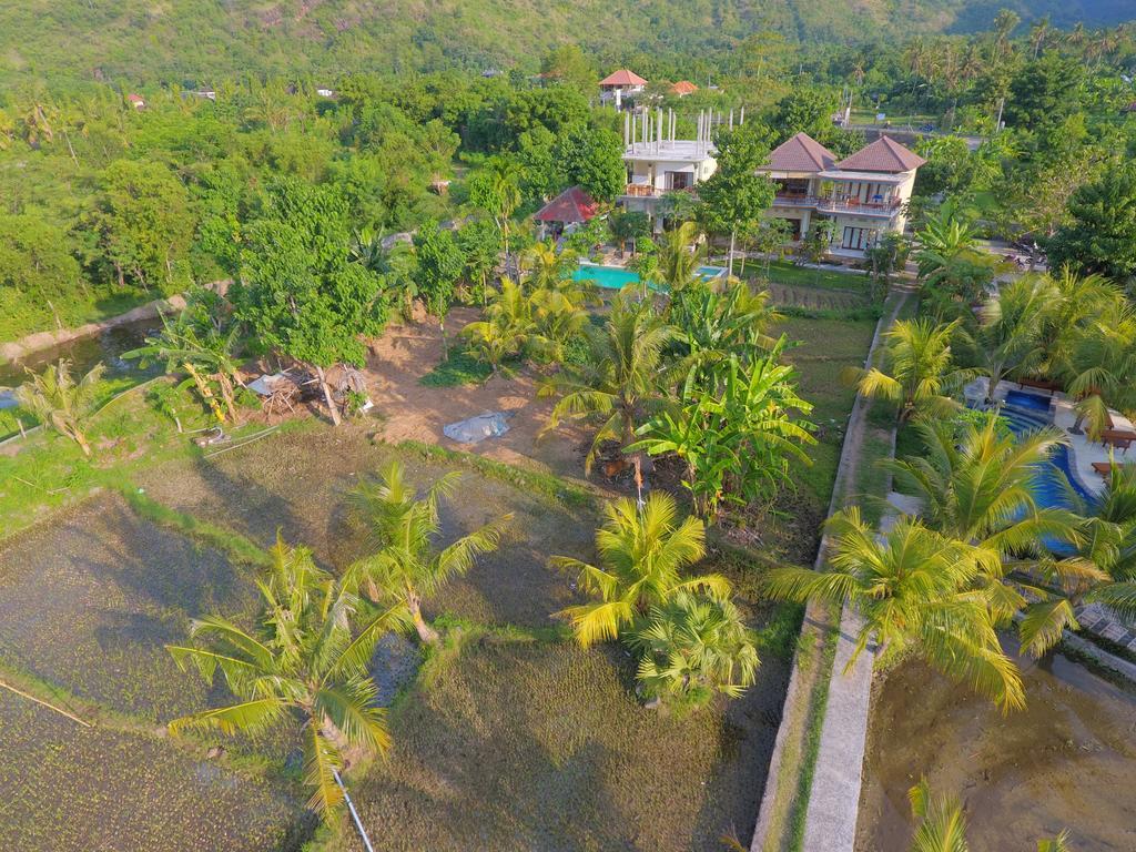 Guest house Taman Padi 2*