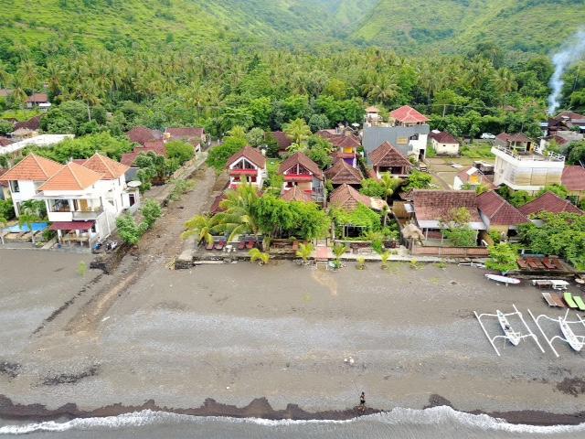 Lily Beach *