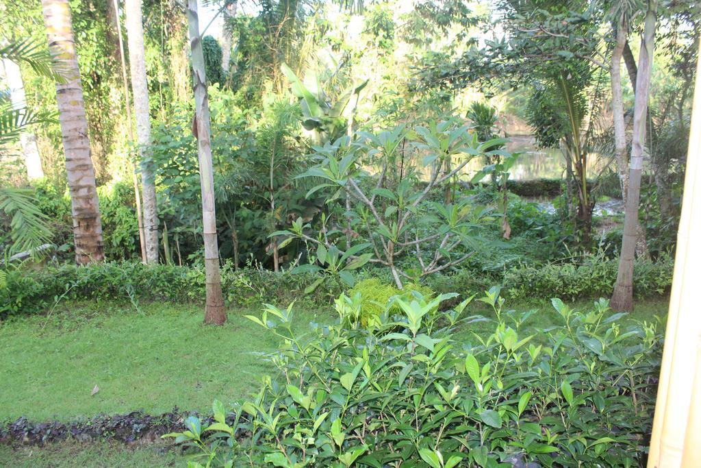 Villa Junjungan Serenity & Ubud (Bali)