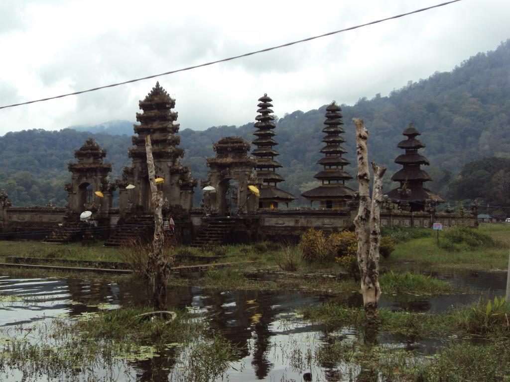 Guest house Made Homestay Munduk