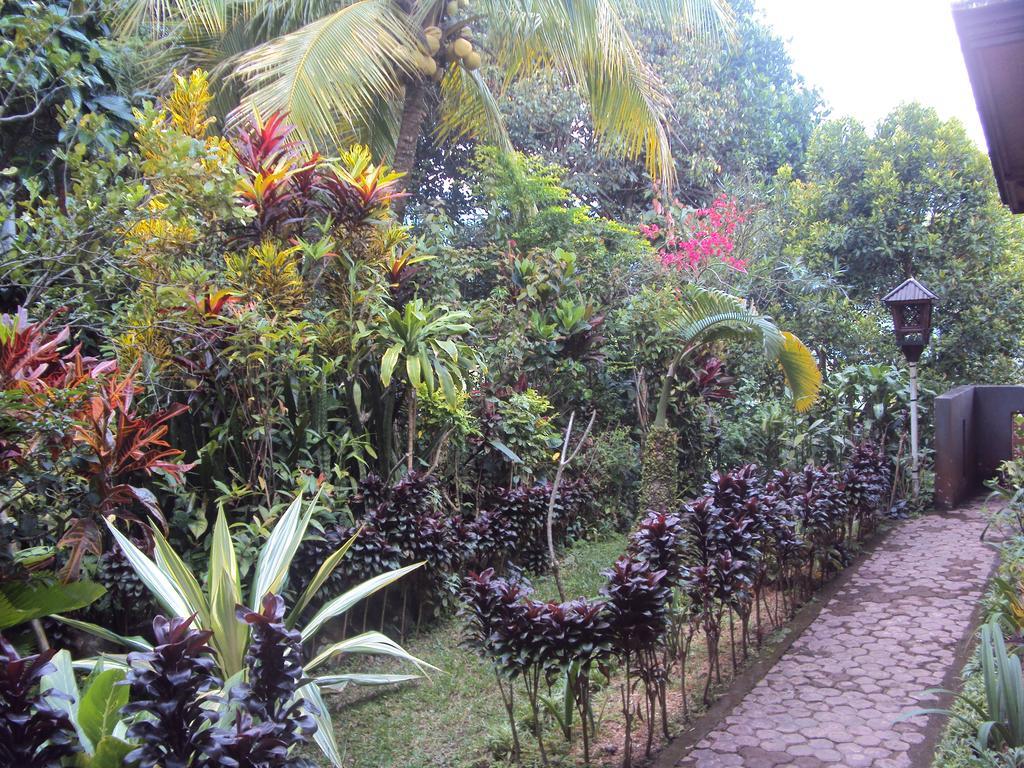 Made Homestay Munduk 2* Munduk (Bali)