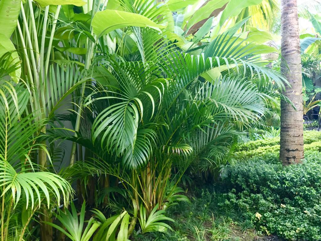 Mossca Mooi Ubud (Bali)